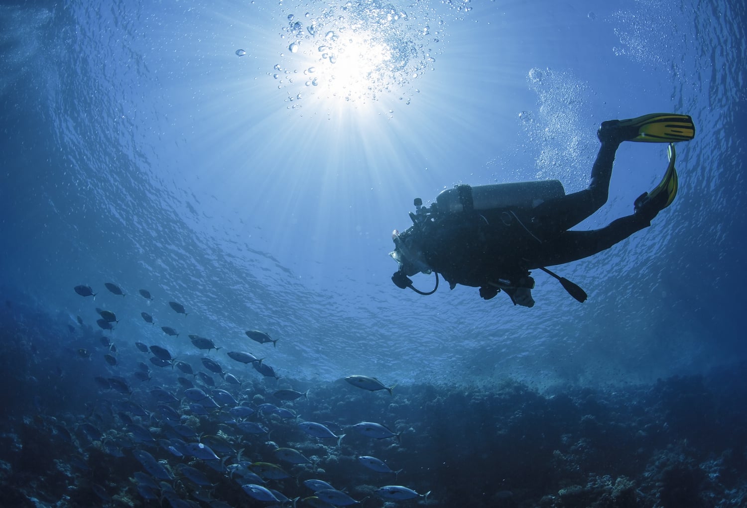 Scuba buddys underwater