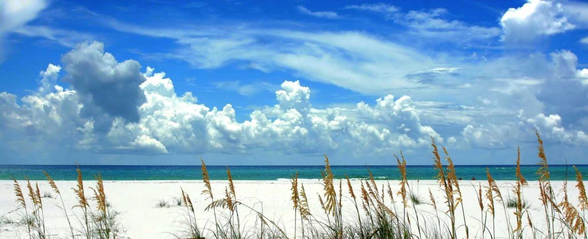 Discover The Best of Blue Mountain - Hero 1170x475