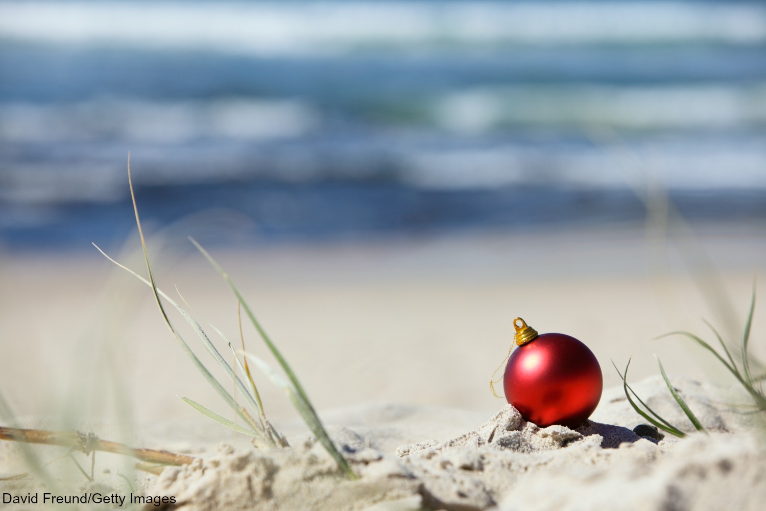 Christmas pictures on the beach