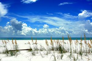 View of the Beach