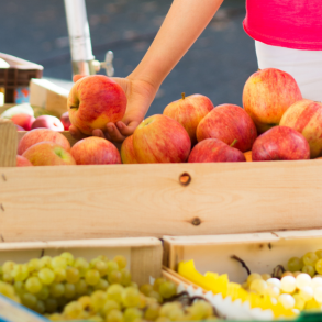 Farmers Markets in Destin