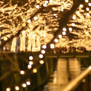 Christmas lights at Sparkling Wine and Holiday Lights Festival