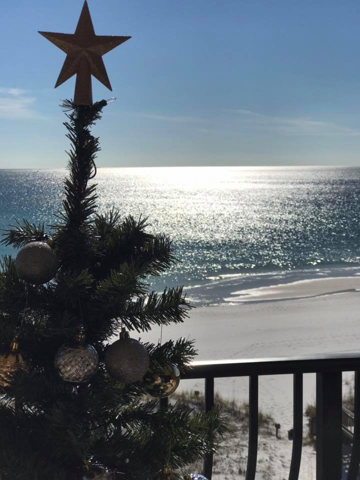 How to Have the Best Christmas Vacation in Florida Your Friend at the