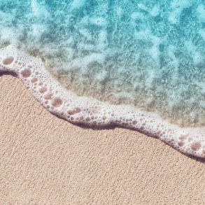 Your Friend at the Beach Vacation Guide