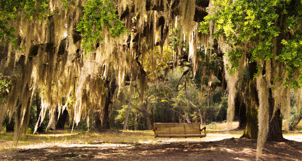 Explore the Florida Outdoors at Eden Gardens State Park - Your Friend ...