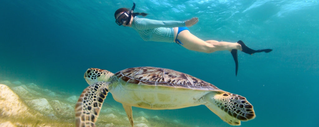 woman snorkeling with a sea turtle
